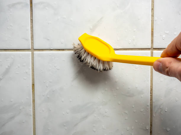 Best Office Mold Removal Services  in Lomita, CA