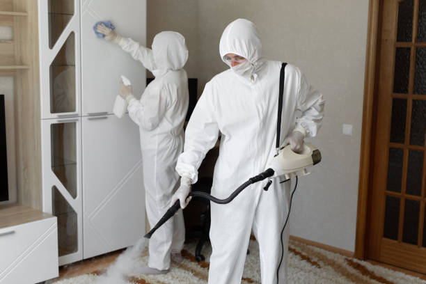 Best Residential Mold Removal  in Lomita, CA
