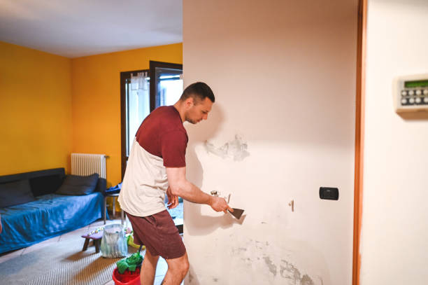 Best Mold Damage Repair  in Lomita, CA